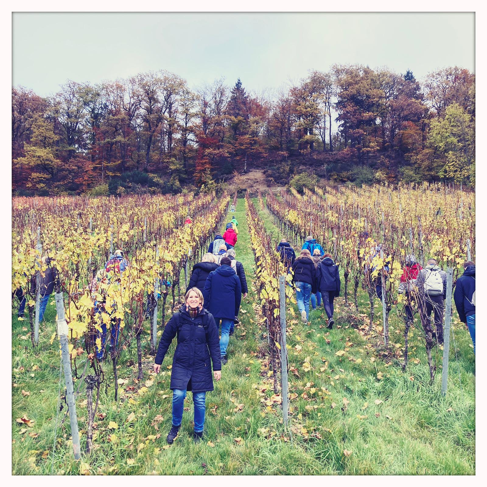 Bild von der Wanderung